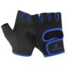 Weight Ligting Gloves